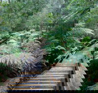 Small-group DayTour from Hobart Hastings Caves Huon Valley and Tahune AirWalk - Geraldton Accommodation