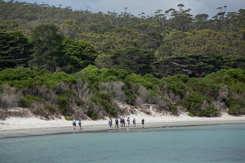 Maria Island Active Day Trip From Hobart - Geraldton Accommodation 11