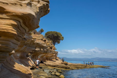 Maria Island Active Day Trip From Hobart - Geraldton Accommodation 5