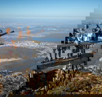 Mt Field National Park Active Day-Trip Including Bonorong and Mt Wellington - Geraldton Accommodation