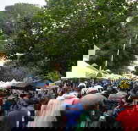 Hobart Half-Day Sightseeing Coach Tram Tour - Geraldton Accommodation