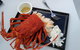 Fresh From The Ocean: Tasmanian Seafood Gourmet Full-Day Cruise Including Lunch - thumb 4