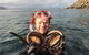 Fresh From The Ocean: Tasmanian Seafood Gourmet Full-Day Cruise Including Lunch - thumb 1