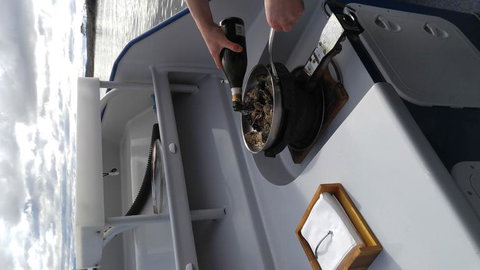 Fresh From The Ocean: Tasmanian Seafood Gourmet Full-Day Cruise Including Lunch - Geraldton Accommodation 9