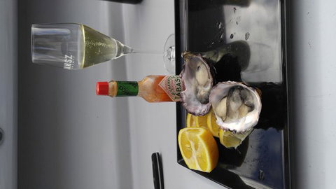 Fresh From The Ocean: Tasmanian Seafood Gourmet Full-Day Cruise Including Lunch - Geraldton Accommodation 10