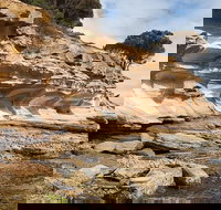 Maria Island premium private photo-oriented day tour from Hobart - Geraldton Accommodation