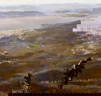 Mt Wellington Half Day Guided Summit Hike - Geraldton Accommodation