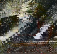 West Coast Wilderness Railway River and Rainforest from Strahan - Geraldton Accommodation