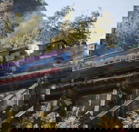 West Coast Wilderness Railway Queenstown Explorer from Strahan - Geraldton Accommodation