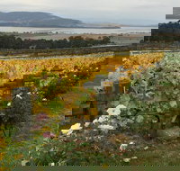 Mona and Wine Experience Tour - Geraldton Accommodation