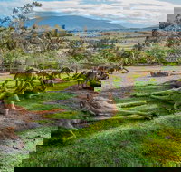 Shore Excursion Hobart's Best In Half A Day - Geraldton Accommodation