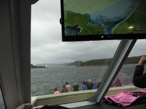 Gordon River Cruise Departing From Strahan - Geraldton Accommodation 5