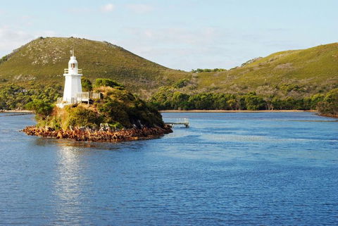 Gordon River Cruise Departing From Strahan - Geraldton Accommodation 25