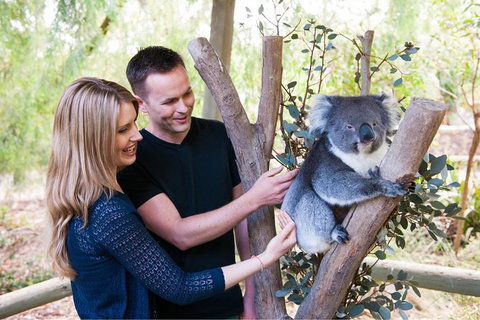 Adelaide Central Market With Cleland Wildlife Park And Mount Lofty Summit - Geraldton Accommodation 1