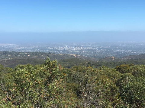 Adelaide Hills And Hahndorf Tour From Adelaide With Wine And Cheese Tasting - Geraldton Accommodation 8