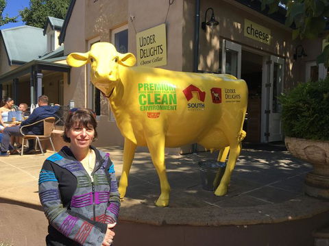 Adelaide Hills And Hahndorf Tour From Adelaide With Wine And Cheese Tasting - Geraldton Accommodation 2