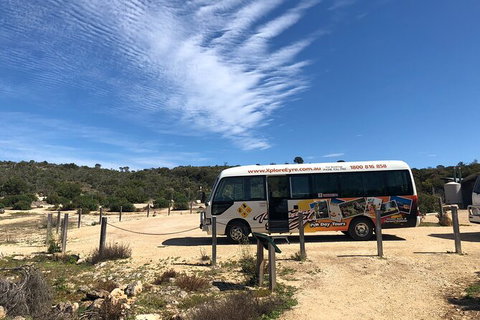 One Day Port Lincoln Tour - Tasting Eyre - Geraldton Accommodation 9