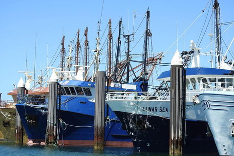 One Day Port Lincoln Tour - Tasting Eyre - Geraldton Accommodation 8
