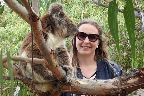 One Day Port Lincoln Tour - Tasting Eyre - Geraldton Accommodation 2