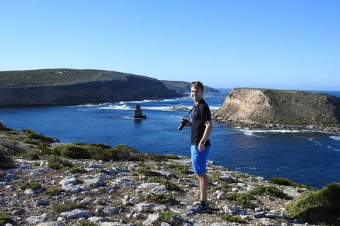 One Day Port Lincoln Tour - Tasting Eyre - Geraldton Accommodation 11