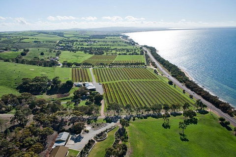 One Day Port Lincoln Tour - Tasting Eyre - Geraldton Accommodation 10