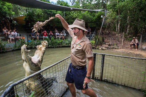Full-Day Tour With Kuranda Scenic Railway, Skyrail Rainforest Cableway, And Hartley's Crocodile Adventures From Cairns - Geraldton Accommodation 1