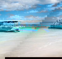 Great Sandy Marine Park Turtle Discovery and Cultural Eco Tour - Geraldton Accommodation