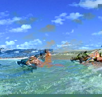 Horse Swimming Ride from Rainbow Beach - Geraldton Accommodation