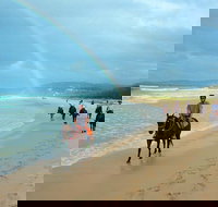 Rainbow Beach Horse Ride - Geraldton Accommodation