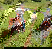 Country Day Ride from Mt Goomboorian with Rainbow Beach Horse Rides - Geraldton Accommodation