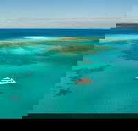 Great Barrier Reef Dive and Snorkel Cruise from Mission Beach - Geraldton Accommodation