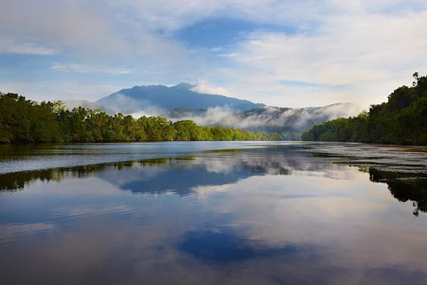 Daintree River Dawn Cruise - Geraldton Accommodation 5