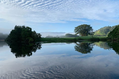 Daintree River Dawn Cruise - Geraldton Accommodation 3