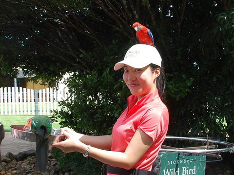 O'Reilly's Lamington National Park And Treetop Canopy Tour - Geraldton Accommodation 5