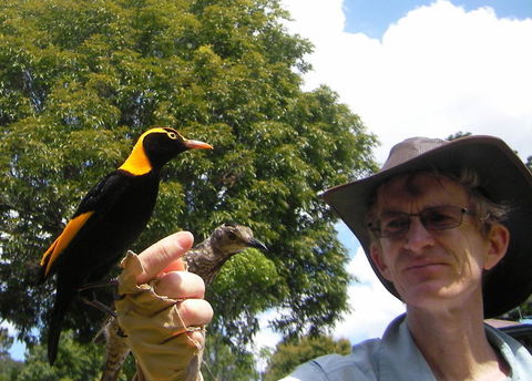 O'Reilly's Lamington National Park And Treetop Canopy Tour - Geraldton Accommodation 4