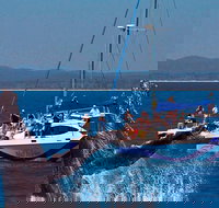 Blue Dolphin Exclusive Whale Watch Encounters - Geraldton Accommodation