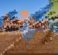 Skip-the-Line Katherine Outback Experience Show Ticket - Geraldton Accommodation