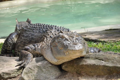 All-Inclusive Blue Mountains Tour In A Luxury Mercedes Sprinter - Geraldton Accommodation 14