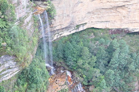 All-Inclusive Blue Mountains Tour In A Luxury Mercedes Sprinter - Geraldton Accommodation 17