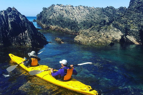 Half Day Sea Kayak Tour From Batemans Bay - Geraldton Accommodation 1