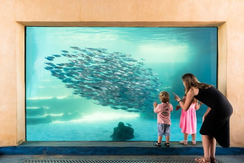 AQWA The Aquarium Of Western Australia - Geraldton Accommodation 0