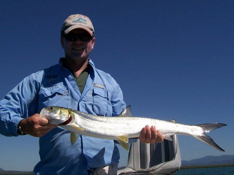 Barramundi To Trevally – A Seaforth Fishing Adventure - Geraldton Accommodation 2