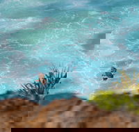 Birdwatching on the Fraser Coast - Geraldton Accommodation