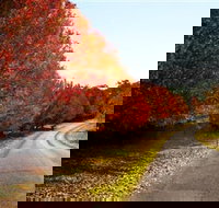 Charles Sturt University Winery - Geraldton Accommodation