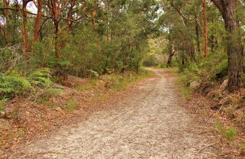 Daleys Point Walking Track - Geraldton Accommodation 0