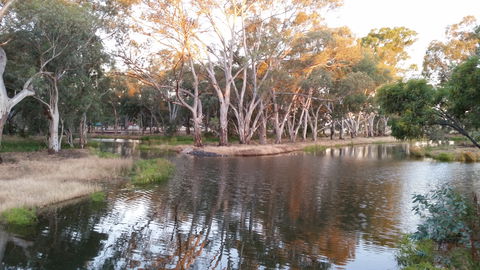 Green Corridor Walking Track - Geraldton Accommodation 1