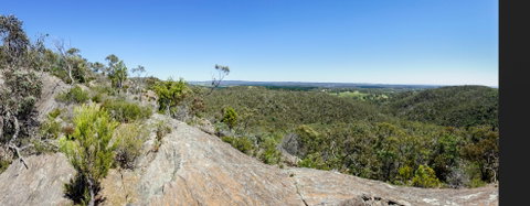 Hale Conservation Park - Geraldton Accommodation 0