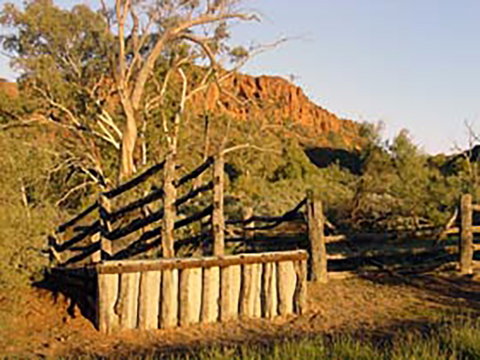 Illamurta Springs Conservation Reserve - Geraldton Accommodation 0
