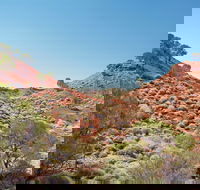 Lark Quarry Conservation Park - Geraldton Accommodation