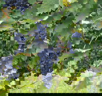 Luskintyre - Geraldton Accommodation